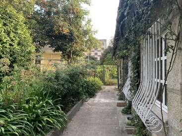 Un sentier étroit longe une maison aux fenêtres grillagées, entourée de plantes et d'arbres verdoyants, et mène à une clôture lointaine et à un bâtiment moderne.