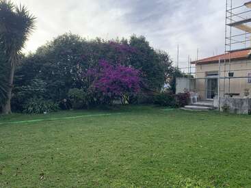 Un jardin verdoyant avec un buisson de fleurs violettes. Une maison moderne avec des échafaudages se trouve à proximité, entourée d'arbres et sous un ciel nuageux.