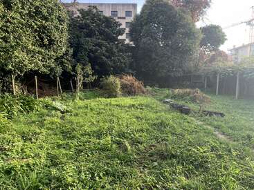 Une cour herbeuse envahie de mauvaises herbes, de petits tas de débris de jardin, quelques pots éparpillés, entourée d'arbres denses et d'un bâtiment à l'arrière-plan.