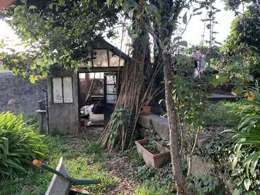 Une scène de jardin rustique avec une vieille serre, des poteaux de bambou penchés, des plantes envahies par la végétation et des pots éparpillés. La lumière du soleil filtre à travers les arbres, créant une atmosphère paisible.