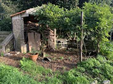 Cette image montre une scène de jardin rustique avec un banc en bois sous une pergola verdoyante, un petit abri empilé avec du bois de chauffage, une plante en pot et de la verdure luxuriante.