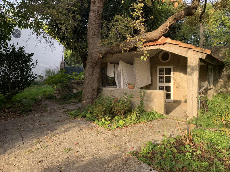 Une petite maison rustique se trouve sous un grand arbre, entourée de verdure. Le linge est étendu sous le porche, la lumière du soleil baigne l'allée et la cour envahies par la végétation. L'atmosphère est paisible.