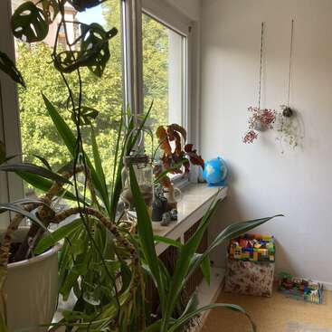 In einer gemütlichen, sonnenbeschienenen Ecke stehen große Grünpflanzen, hängende Pflanzgefäße, ein Globus auf der Fensterbank, Spielzeug, eine Blumenaufbewahrungsbox und Bäume, die man von draußen sehen kann.