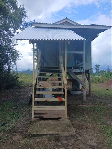 A small elevated wooden house with a tin roof, surrounded by greenery. A dog is lying on the steps, looking relaxed and content under cloudy skies.