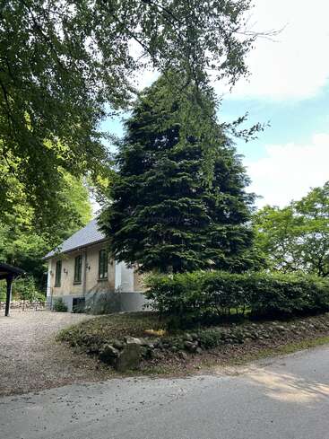 A charming house with brick walls and a grey tiled roof sits behind a large evergreen tree, surrounded by greenery, rocks, and a peaceful road.