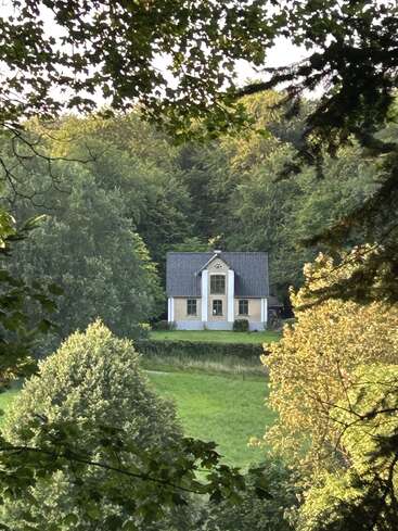 A charming white house with a dark roof is nestled in a lush green forest, surrounded by trees, sunlight, and a peaceful, secluded atmosphere.