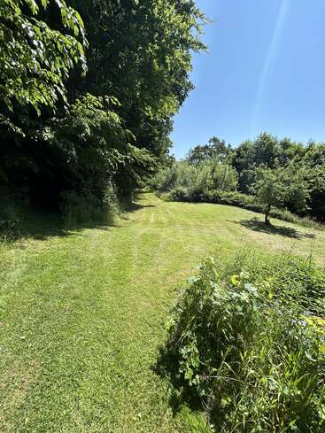 A lush green path curves through a sunny grassy clearing, bordered by dense trees and shrubs under a bright blue sky, radiating peaceful summer vibes.