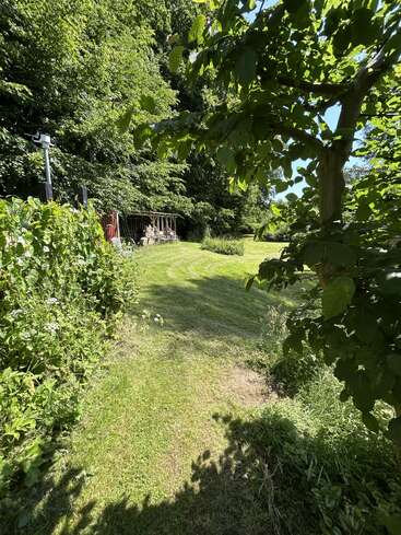 A lush green garden path winds through trees and bushes, leading toward a wooden structure beside thick forest under bright sunlight and clear blue sky.