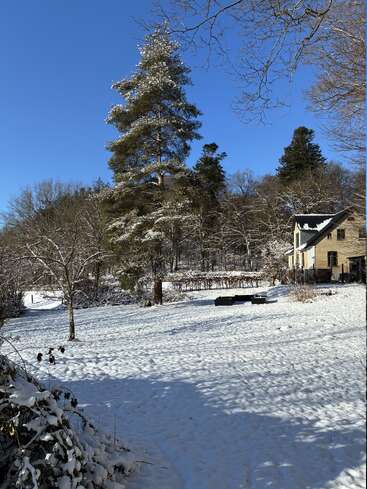 A cozy house sits beside a snowy field, surrounded by snow-covered trees under a clear blue sky. Winter sunlight creates crisp shadows and a peaceful atmosphere.