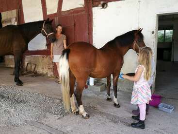A young girl with long blonde hair is brushing a brown horse, while a woman stands nearby, with another horse visible in the background.