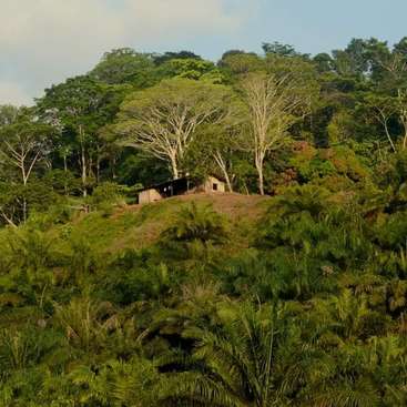 The image depicts a serene hillside scene with a small wooden building nestled among lush trees and dense greenery, set against a blue sky.