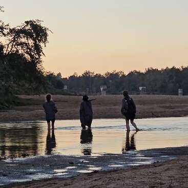 Trois personnes pataugent dans une rivière peu profonde, avec des arbres et un banc de sable en arrière-plan, dans un ciel serein de coucher de soleil.