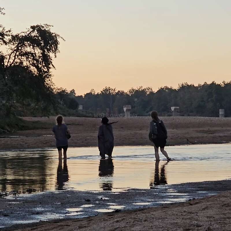 Three people wade through a shallow river, with trees and a sandy bank in the background, set against a serene sunset sky.