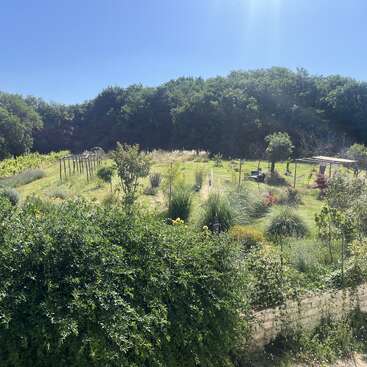 Un jardin verdoyant sous un ciel bleu limpide, entouré d'arbres touffus. On y trouve divers arbustes, des fleurs, des pergolas et un coin salon ombragé. Une atmosphère paisible.