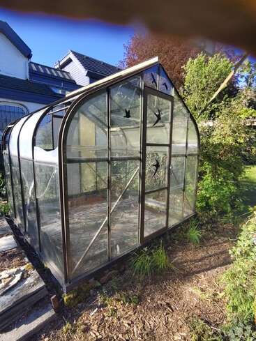 En un jardín junto a una casa se encuentra un pequeño invernadero de cristal con algunos paneles rotos y pegatinas de pájaros, rodeado de vegetación y bajo un cielo azul y despejado.