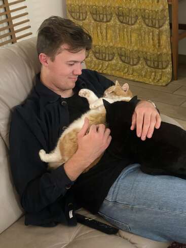 Un joven descansa en un sofá beige, acariciando con ternura a dos gatos —uno naranja y blanco, y otro negro—, creando una escena acogedora, cariñosa y tranquila en casa.