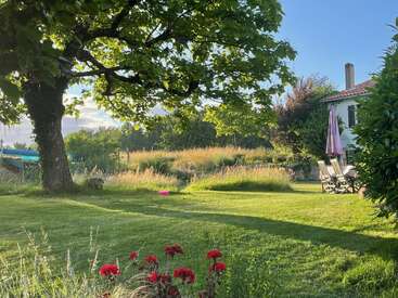 A peaceful garden scene with a large tree, green grass, red flowers, outdoor seating, an umbrella, and sunlight casting long shadows near a charming house.