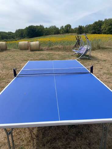 A blue outdoor ping pong table stands on dry grass, surrounded by hay bales, a swing chair, and a vibrant sunflower field with trees in the background.