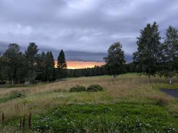 Un paisaje sereno presenta un campo cubierto de hierba y árboles dispersos bajo un cielo nublado. El horizonte brilla con el suave color naranja de una puesta de sol lejana. Ambiente apacible.