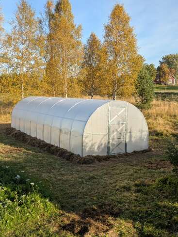 Une serre blanche se dresse dans une cour herbeuse, entourée d'arbres aux couleurs automnales et d'un ciel dégagé. La lumière du soleil éclaire ce paysage rural paisible, créant une atmosphère sereine.