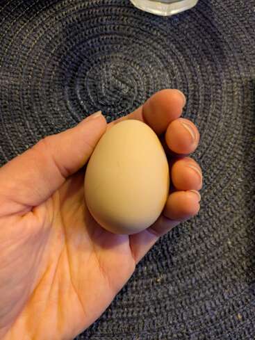 Une main tient un œuf brun clair sur un napperon tissé foncé et texturé. L'œuf semble frais et les doigts en caressent délicatement la surface.