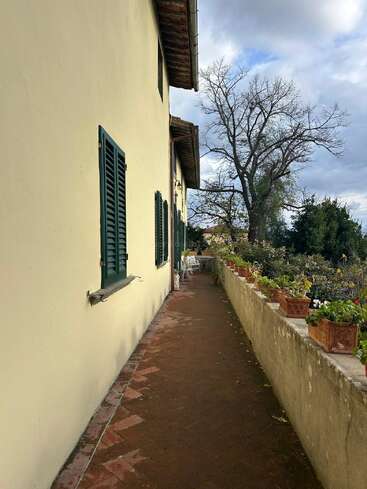Uma estreita passarela de tijolos passa ao lado de uma casa amarela com venezianas verdes e vasos de plantas ao longo da parede, levando a uma área de estar. Uma árvore sem folhas nas proximidades.