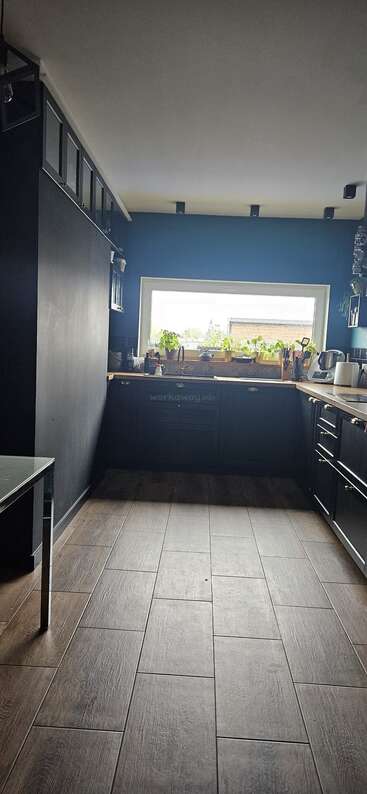 Una cocina moderna con armarios oscuros, encimeras de madera y una gran ventana. En el alféizar hay varias macetas. La luz natural ilumina la espaciosa estancia.