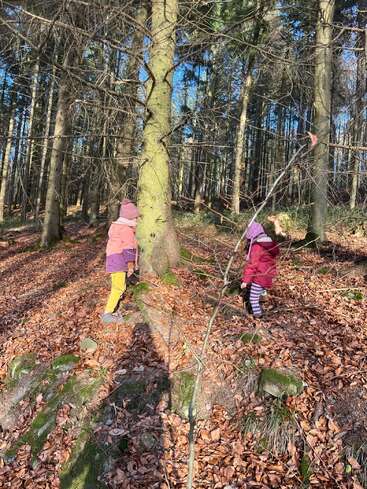 Two children dressed in colorful winter clothes explore a sunlit forest, surrounded by tall trees and fallen autumn leaves covering the ground. Shadows stretch across the scene.
