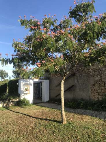 La imagen representa una escena serena en la que aparecen un árbol con flores rosas, un edificio blanco y un muro de piedra, sobre un cielo azul despejado.