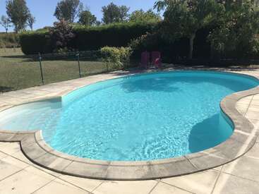 La imagen representa un sereno patio trasero con una piscina en forma de riñón rodeada de un patio de piedra, exuberante vegetación y un cielo azul despejado en un día soleado.
