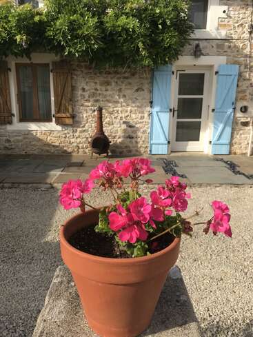 La imagen representa una encantadora casa de piedra con contraventanas azules, una puerta blanca y una vibrante maceta rosa en primer plano, en un día soleado.