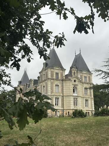 A grand, historic château with tall, pointed towers stands surrounded by leafy trees and grass under a gray, overcast sky, evoking an enchanting, serene atmosphere.