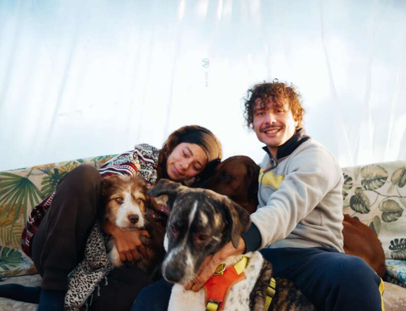 A smiling man and a peaceful woman sit close together, surrounded lovingly by three dogs, radiating warmth, happiness, and companionship in a cozy setting.