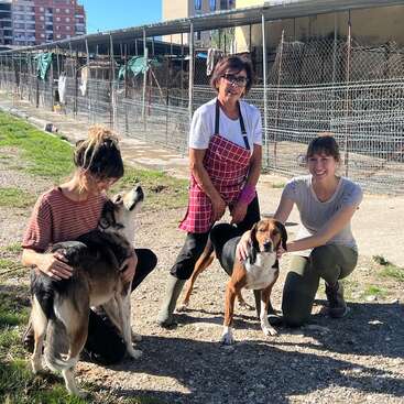 Three women and two dogs are outside an animal shelter. They’re smiling and interacting with the dogs on a sunny day, showing care and happiness.