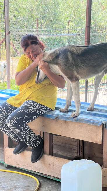 A woman in a yellow shirt lovingly embraces a standing dog on a wooden bench. They share a tender moment in an outdoor fenced area.