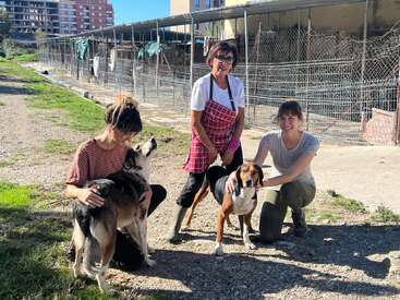 Três mulheres e dois cães estão do lado de fora de um abrigo de animais. Elas estão sorrindo e interagindo com os cães em um dia ensolarado, demonstrando carinho e felicidade.