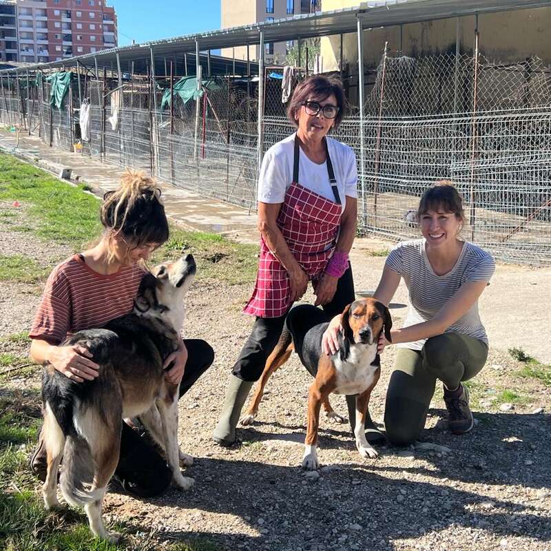 Three women and two dogs are outside an animal shelter. They’re smiling and interacting with the dogs on a sunny day, showing care and happiness.
