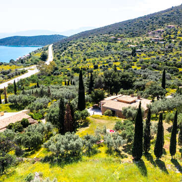 Un paysage pittoresque composé d'une route côtière sinueuse, de collines verdoyantes parsemées d'arbres et de maisons, de grands cyprès et, au loin, d'une eau d'un bleu limpide.