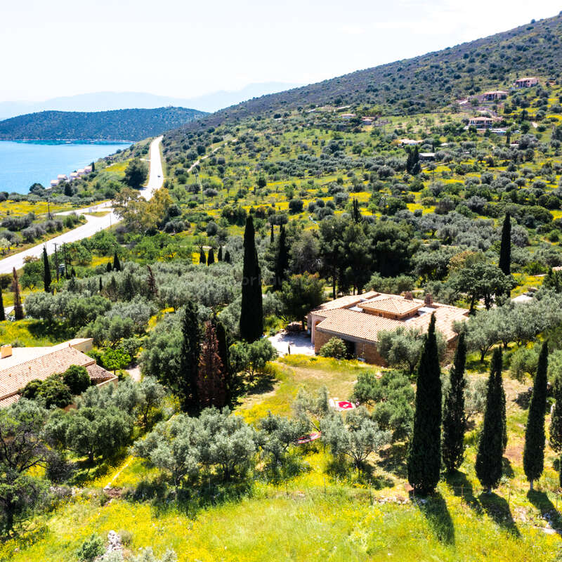 Un paysage pittoresque composé d'une route côtière sinueuse, de collines verdoyantes parsemées d'arbres et de maisons, de grands cyprès et, au loin, d'une eau d'un bleu limpide.