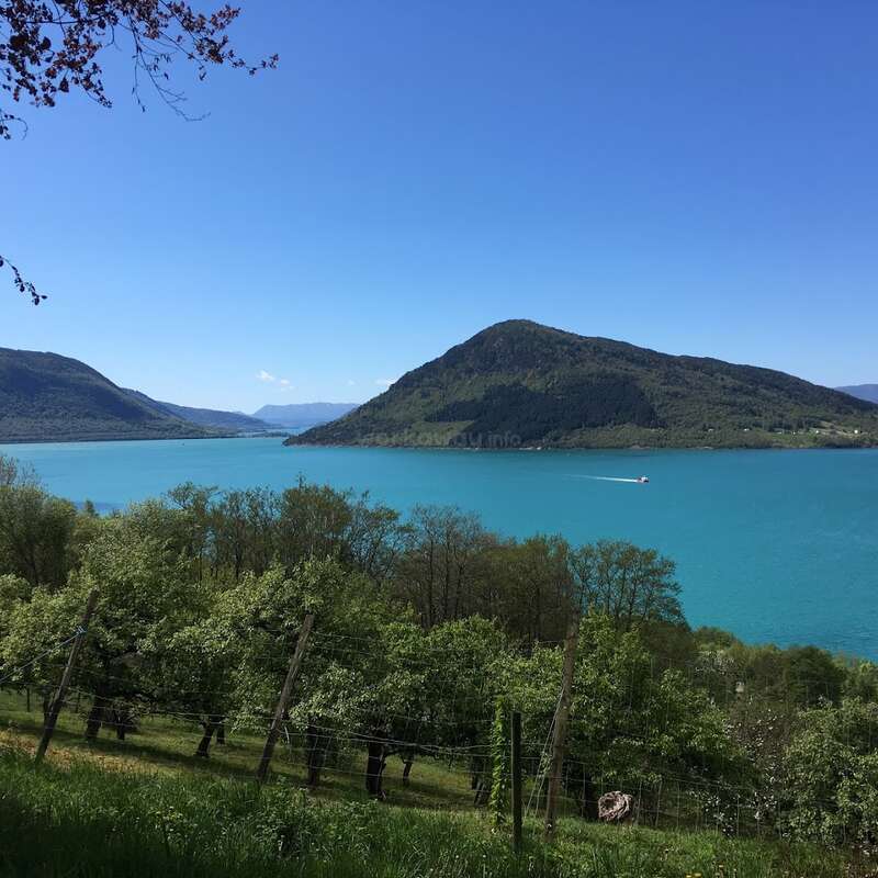 Das Bild zeigt eine ruhige Landschaft mit einem großen Gewässer, üppigem Grün und majestätischen Bergen unter einem klaren blauen Himmel an einem sonnigen Tag.