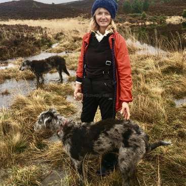 The image depicts a woman standing in a field with two dogs, wearing a red jacket and blue hat, surrounded by dry grass and puddles, with hills visible in the background.