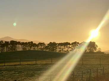 Golden sunlight beams across a serene countryside landscape. Silhouetted trees line the horizon, soft hills lie beyond, and a glowing sunrise bathes everything in warm light.
