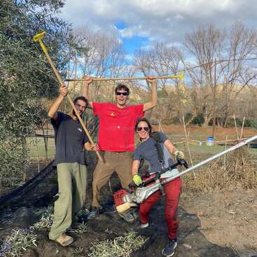 Três pessoas ao ar livre, sorrindo e comemorando. Duas seguram ancinhos, uma segura uma ferramenta de jardinagem. Elas estão perto de árvores em um dia parcialmente nublado, sugerindo trabalho em equipe e diversão.