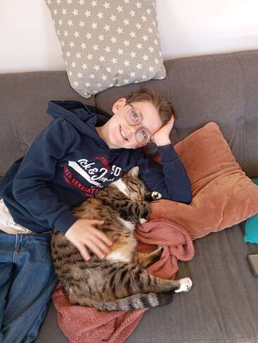 A smiling boy with glasses lounges on a grey couch, gently petting a relaxed tabby cat lying on a pink blanket, surrounded by cozy pillows.