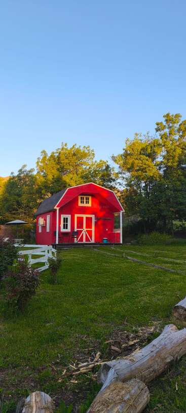 Una pequeña casa estilo granero de un rojo vibrante se asienta sobre la hierba verde, rodeada de árboles, una valla blanca, muebles de jardín y troncos bajo un cielo azul despejado.