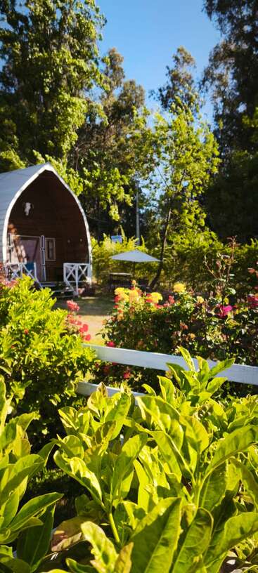 Una acogedora cabaña de madera se encuentra en un exuberante jardín lleno de flores de colores, rodeado de árboles verdes bajo un cielo azul claro y soleado. Tranquila.