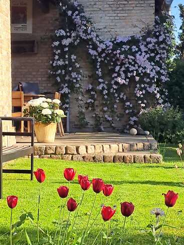 Sunlit garden with bright red tulips in the foreground, a cozy porch with potted white flowers, and climbing purple vines against a brick wall backdrop.
