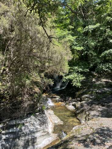 A small, clear stream cascades gently over rocks in a lush, green forest. Sunlight filters through tree branches, creating dappled shadows on the ground. Peaceful.