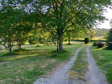 Um caminho rural tranquilo serpenteia por uma paisagem verde, sombreada por grandes árvores. A luz do sol é filtrada pelas folhas, criando uma luz difusa na grama e na estrada de cascalho.