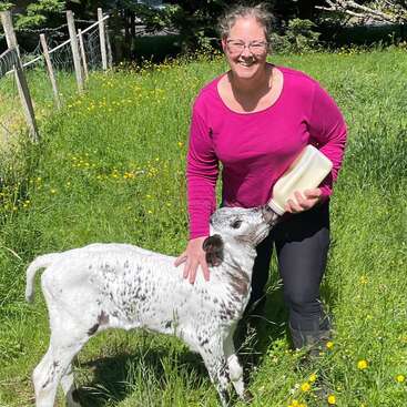 A smiling woman in a bright pink shirt bottle-feeds a young, speckled calf in a green, grassy field scattered with yellow wildflowers on a sunny day.